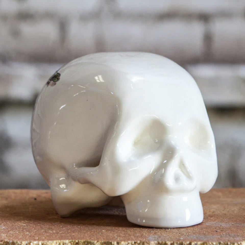 Calavera Lagartija