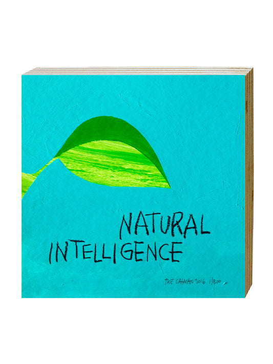 NATURAL INTELLIGENCE