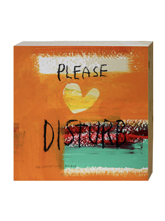 PLEASE DISTURB